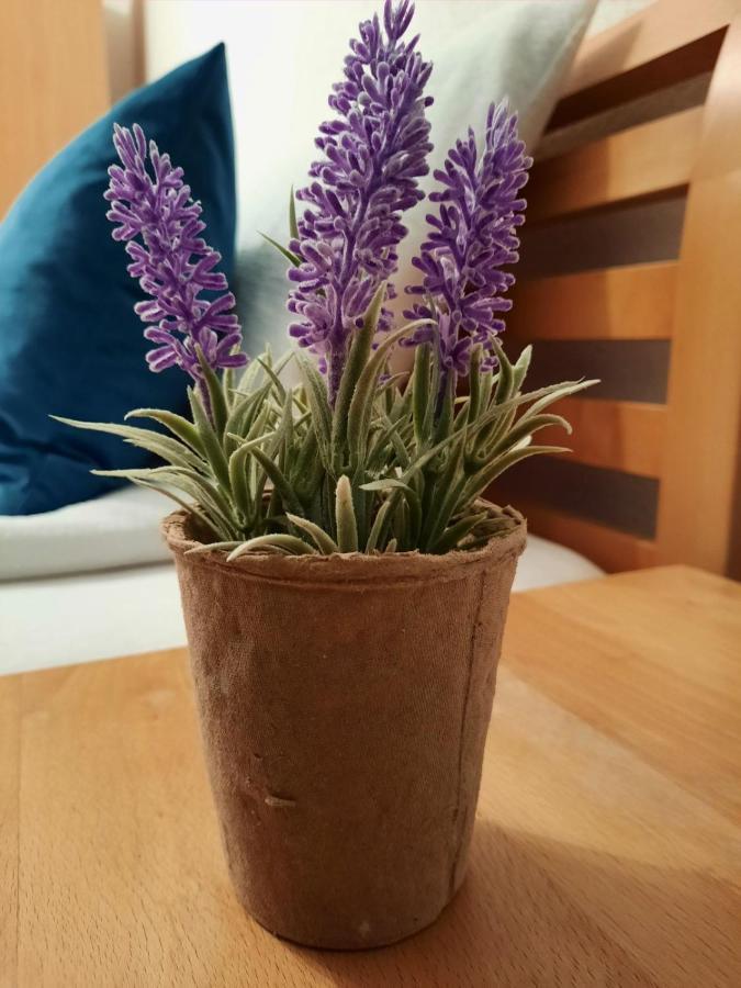 Apartman Kovaci Saraybosna Dış mekan fotoğraf